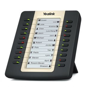 Yealink EXP20